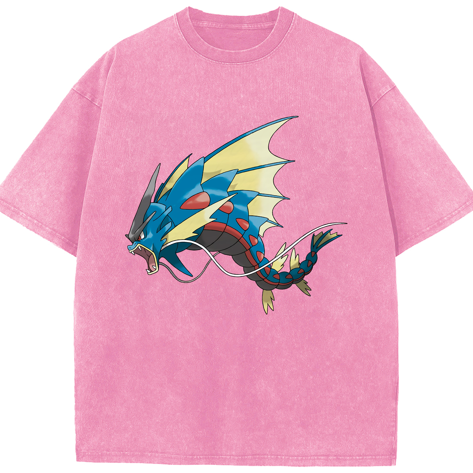 （画像用） ポケットモンスター Pokémon 綿100% ヴィンテージ風 半袖Tシャツ（フロントプリント）